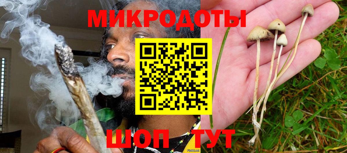 Галлюциногенные грибы мухоморы Ялуторовск