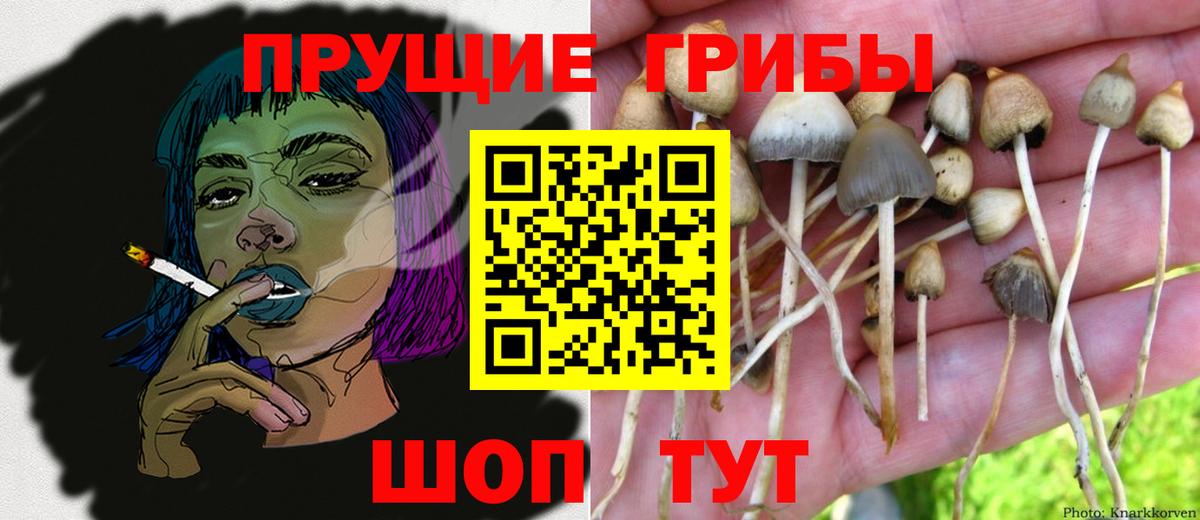 Ялуторовск  Псилоцибиновые грибы мицелий  Вход с VPN 