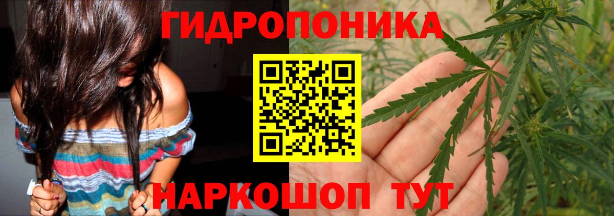 Марихуана Amnesia  Вход с VPN  МАРИХУАНА тримм  Ялуторовск 